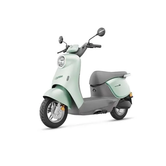 Electric Vehicle (EV)